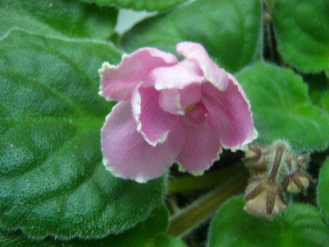 P9253918.JPG