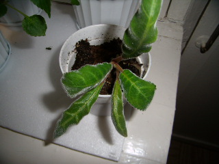 PB170008.JPG