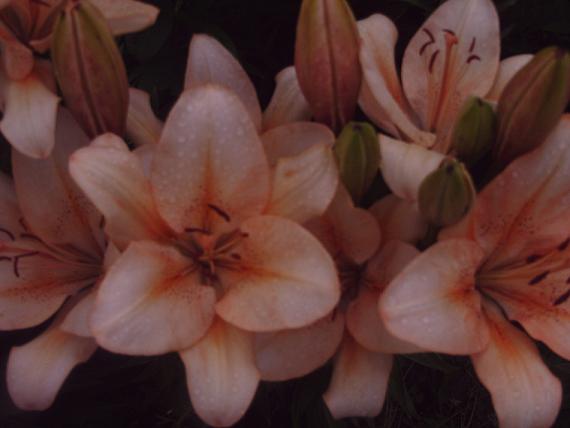 PHOT0112.JPG