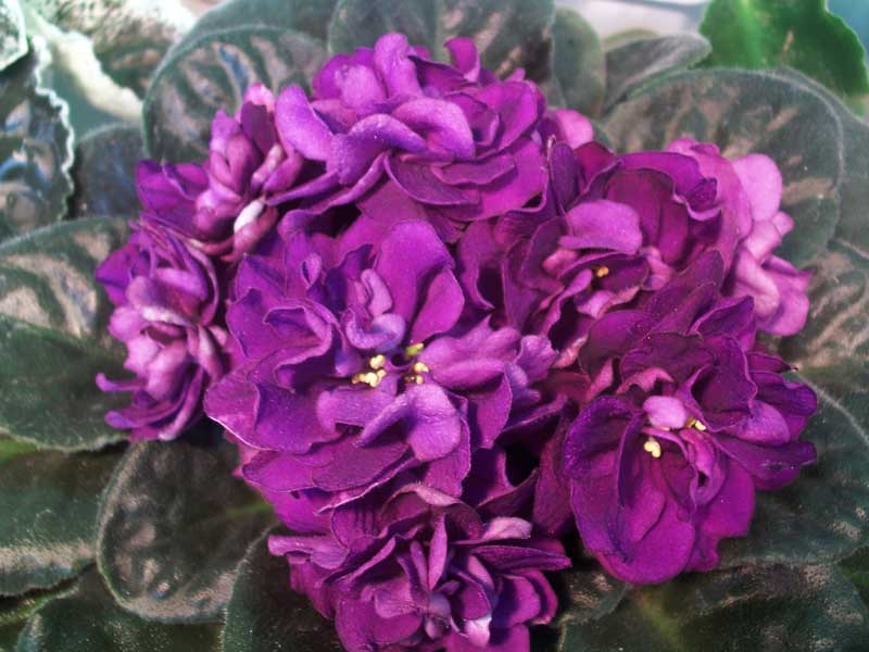 PICT0048.jpg