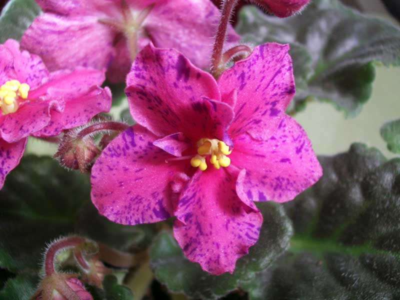 PICT0069.jpg