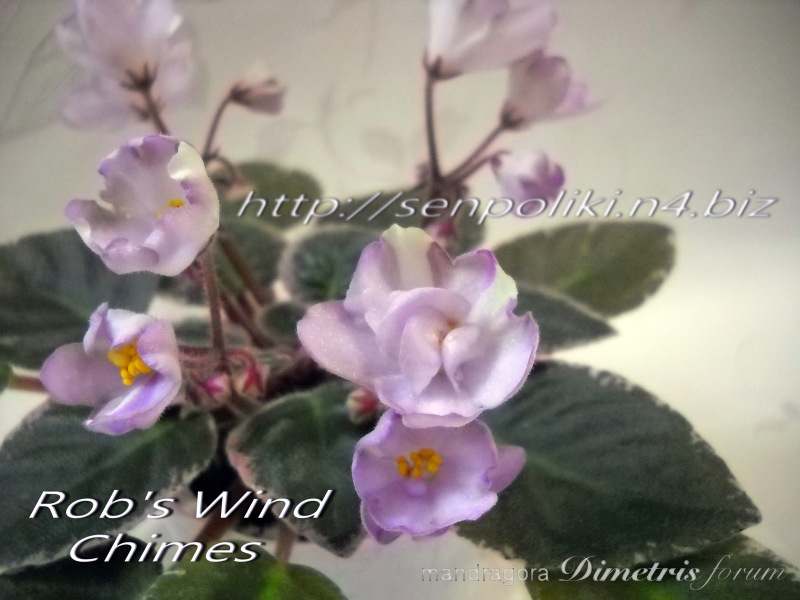 Rob’s Wind Chimes.jpg