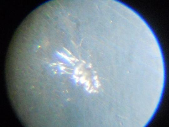 RSCN0893.JPG