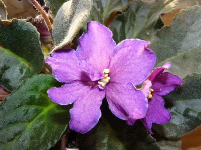 s640x480.jpg