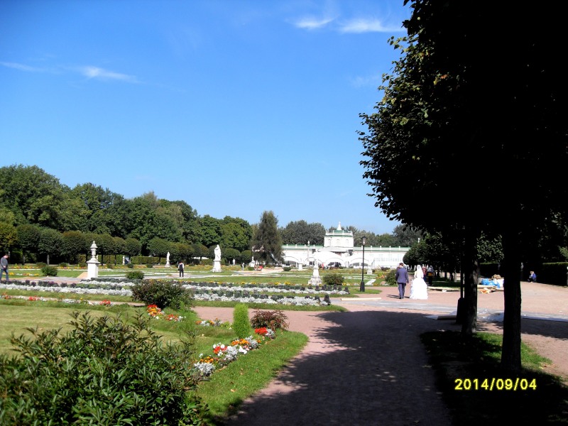 SDC16140.JPG