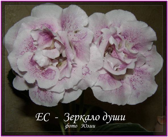 Zercalo_dyhi_2_2.jpg