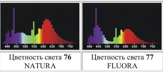  Fluora  Natura,    