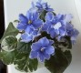 dimetris.com.ua:альбомы:елена555:ек-звездный_дождь_спорт.jpg