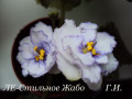 dimetris.com.ua:альбомы:ирчик:ле-стильное_жабо.jpg
