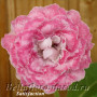 dimetris.com.ua:альбомы:марина:сатисфакшн.jpg