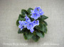 dimetris.com.ua:альбомы:мячик:honey_blue_angel.jpg