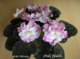dimetris.com.ua:альбомы:мячик:pink_pearls.jpg