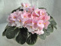 dimetris.com.ua:альбомы:рыбешка:maria.jpg