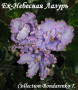 dimetris.com.ua:альбомы:kerol:ек-небесная_лазурь.jpg
