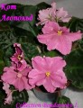 dimetris.com.ua:альбомы:kerol:кот_леопольд.jpg