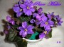 dimetris.com.ua:альбомы:kerol:peace_maker.jpg