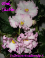 dimetris.com.ua:альбомы:kerol:pink_chablis.jpg