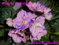 dimetris.com.ua:альбомы:kerol:playful_spectrum.jpg