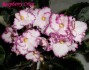 dimetris.com.ua:альбомы:kerol:raspberry_crisp.jpg