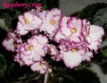 dimetris.com.ua:альбомы:kerol:raspberry_crisp.jpg