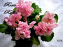 dimetris.com.ua:альбомы:kerol:rosie_ruffles.jpg