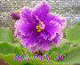 dimetris.com.ua:альбомы:mandragora:bold_party_girl.jpg