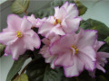 dimetris.com.ua:альбомы:natascha:robert_mayer.jpg