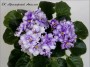 dimetris.com.ua:альбомы:olex:ек_мраморный_аполлон.jpg