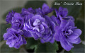 dimetris.com.ua:альбомы:olex:ness_crincle_blue.jpg