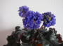 dimetris.com.ua:альбомы:svetlanna:ruffled_skies_2.jpg