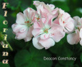 dimetris.com.ua:альбомы:sweet:deacon_constancy.jpg