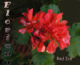 dimetris.com.ua:альбомы:sweet:red_ice.jpg