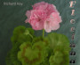 dimetris.com.ua:альбомы:sweet:richard_key.jpg