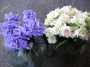 dimetris.com.ua:альбомы:tana:ruffled_skies_и_irish_flirt.jpg
