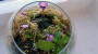 dimetris.com.ua:загрузки:people:foto211.jpg