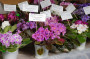 dimetris.com.ua:загрузки:people:kirillovastol.jpg