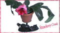 dimetris.ru:цветы:m.kartuz:strawberry_crush_2.jpg