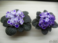 dimetris.ru:цветы:r.holtkamp:rhapsodie_cora.jpg