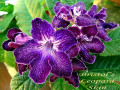 dimetris.ru:цветы:r.robinson:bristols_leopard_skin_2.jpg