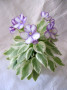 dimetris.ru:цветы:r.robinson:robs_lucky_penny_2.jpg