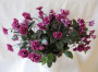 dimetris.ru:цветы:s.sorano:dancin_trail_2.jpg