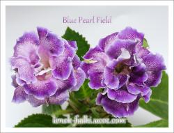 Blue Pearl Field Blue Pearl Field