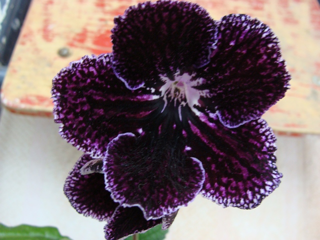 001-ест свет.jpg