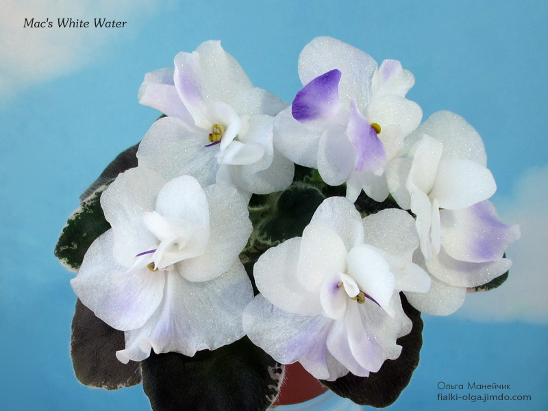 01 Mac's-White-Water-р-исхIMG_0283.jpg