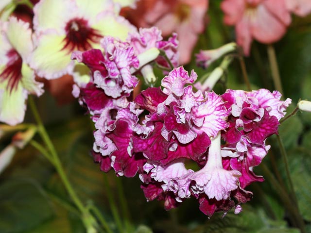 059_2014-10-29.jpg