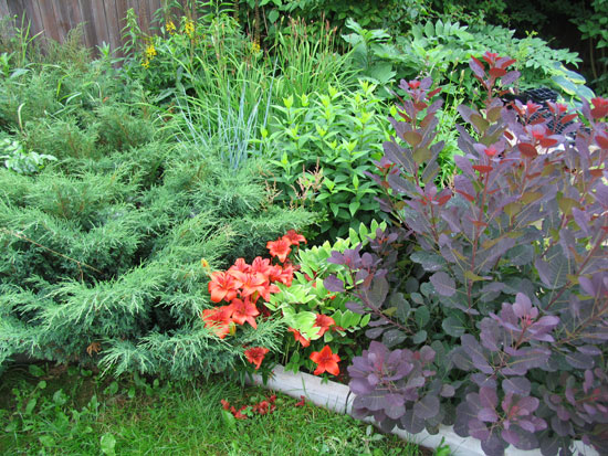 09_07_11-087.jpg