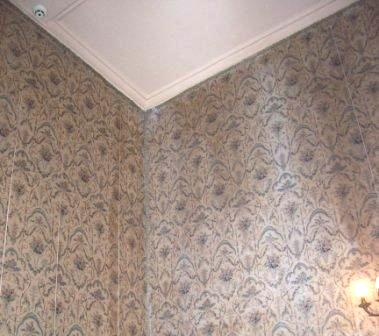 100_3711.jpg