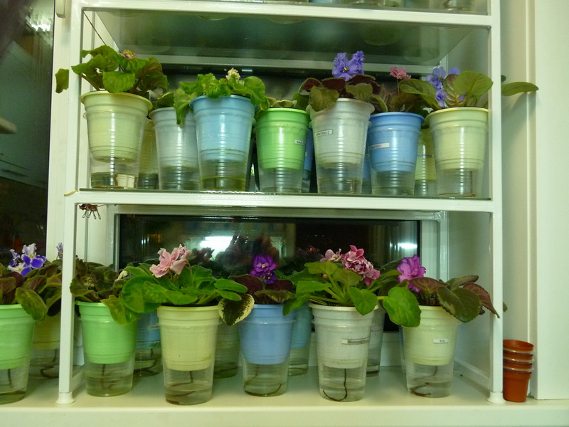 10-05-2012 - 0008.jpg