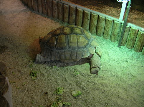 120127587.jpg