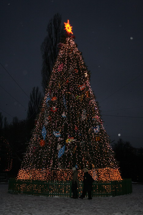20081228_2064-1.jpg